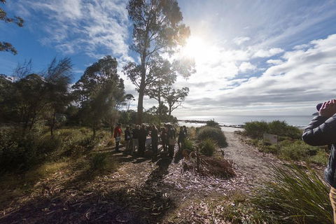 Bruny Island Day Tour, Includes Lunch And Exclusive Lighthouse Tour - Darwin Holiday 15