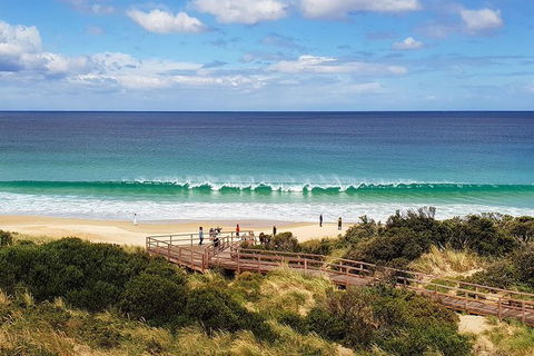 Bruny Island Day Tour, Includes Lunch And Exclusive Lighthouse Tour - Darwin Holiday 4