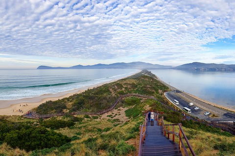 Bruny Island Day Tour, Includes Lunch And Exclusive Lighthouse Tour - Darwin Holiday 16