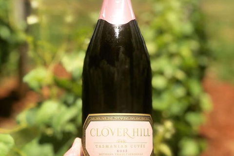 Tamar Valley Wine Tours - Darwin Holiday 39