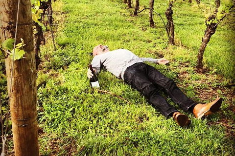 Tamar Valley Wine Tours - Darwin Holiday 28