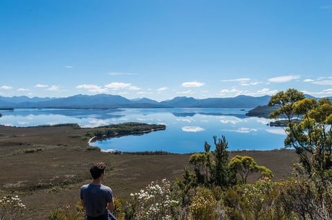 Southwest Tasmania Wilderness Experience: Fly Cruise And Walk Including Lunch - Darwin Holiday 2