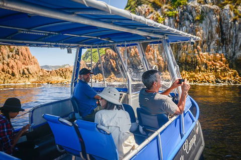 Southwest Tasmania Wilderness Experience: Fly Cruise And Walk Including Lunch - Darwin Holiday 11