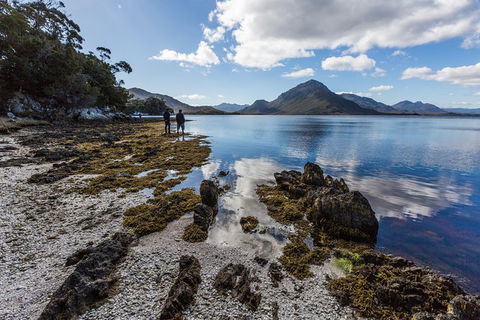 Southwest Tasmania Wilderness Experience: Fly Cruise And Walk Including Lunch - Darwin Holiday 10