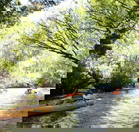 Paddle with the Platypus Twilight Kayak Adventure - Darwin Holiday