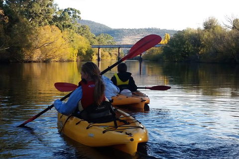 Paddle With The Platypus Twilight Kayak Adventure - Darwin Holiday 1