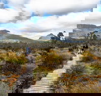 Cradle Mountain Day Tour - Darwin Holiday