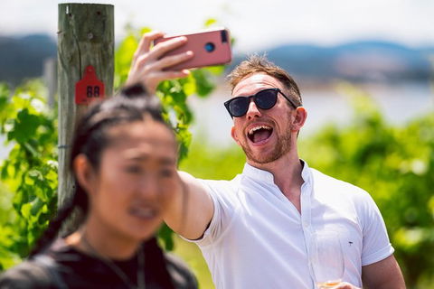 Tasmanian Wine Tour - Darwin Holiday 2