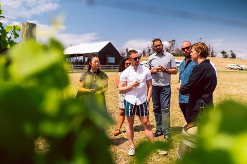 Tasmanian Wine Tour - Darwin Holiday 4