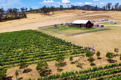 Tasmanian Wine Tour - Darwin Holiday 7