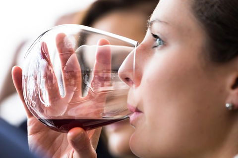 Tasmanian Wine Tour - Darwin Holiday 1