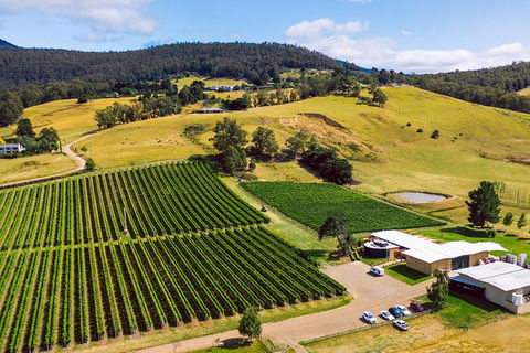 Tasmanian Wine Tour - Darwin Holiday 11