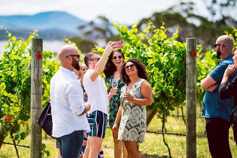 Tasmanian Wine Tour - Darwin Holiday 3