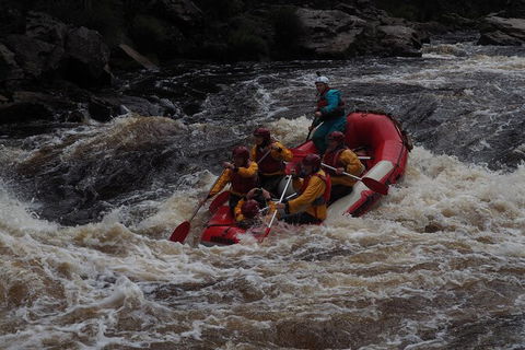 King River White Water Raft Journey From Queenstown With Lunch - Darwin Holiday 5
