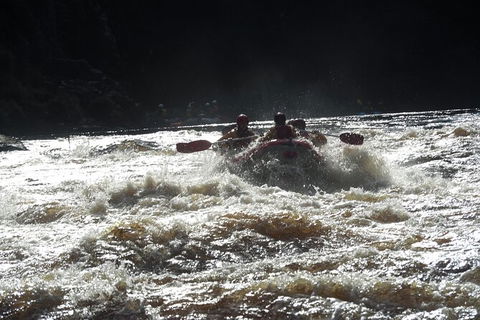 King River White Water Raft Journey From Queenstown With Lunch - Darwin Holiday 7