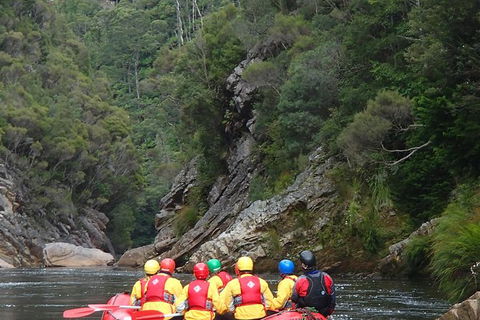King River White Water Raft Journey From Queenstown With Lunch - Darwin Holiday 1