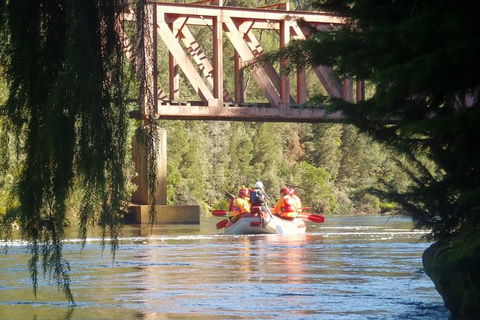King River Rafting Day Trip From Queenstown To Strahan And Return Including The West Coast Wilderness Railway - Darwin Holiday 1