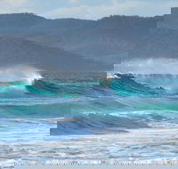 Full Day Tour Hobart East Coast Classic Wine Beach Oysters Seafood  Berries - Darwin Holiday