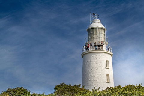 Fully Guided Bruny Island Lighthouse Tour - Darwin Holiday 7