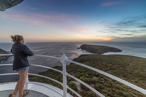 Fully Guided Bruny Island Lighthouse Tour - Darwin Holiday 4
