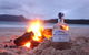 Full Day Tour Hobart: Port Arthur McHenry Gins Bangor Vineyard Wines + Oysters - thumb 10