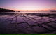 Full Day Tour Hobart: Port Arthur McHenry Gins Bangor Vineyard Wines + Oysters - thumb 8