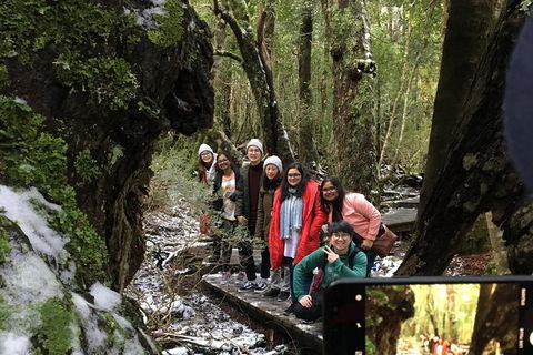 Cradle Mountain In A Day From Hobart - Darwin Holiday 5