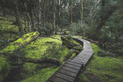 Cradle Mountain In A Day From Hobart - Darwin Holiday 3