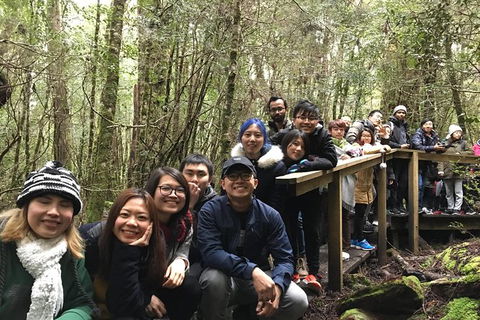 Cradle Mountain In A Day From Hobart - Darwin Holiday 2