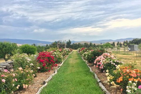 Premium Tour And Lunch Package For 2 - Darwin Holiday 3