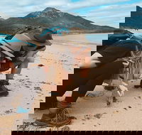 Freycinet Walking Tour - Darwin Holiday