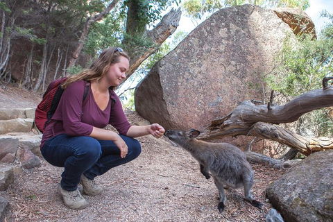 Wineglass Bay Beach Hike - Darwin Holiday 25