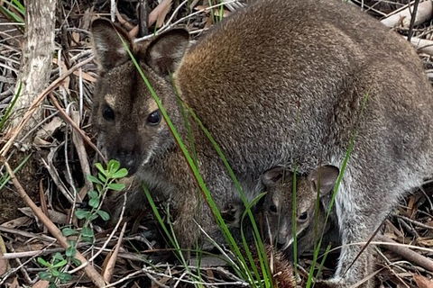 Wineglass Bay Beach Hike - Darwin Holiday 19