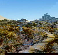 Hartz Mountains premium private photo-oriented day tour from Hobart - Darwin Holiday