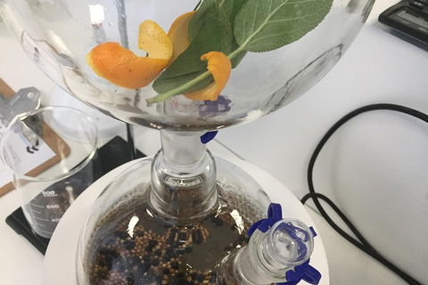 Master Gin Making Classes - Darwin Holiday 3