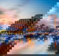 5 Day 4 Night Guided Tasmania Tour - Darwin Holiday