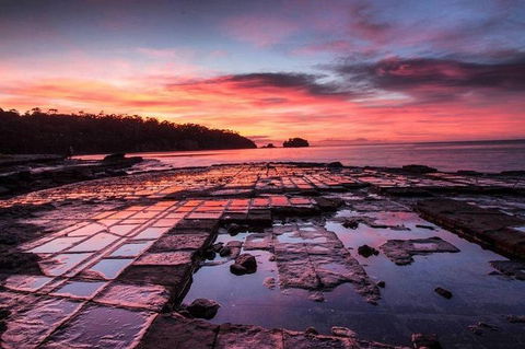 5 Day 4 Night Guided Tasmania Tour - Darwin Holiday 4