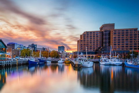 Hobart City And Surroundings Private Charter Service - Darwin Holiday 4