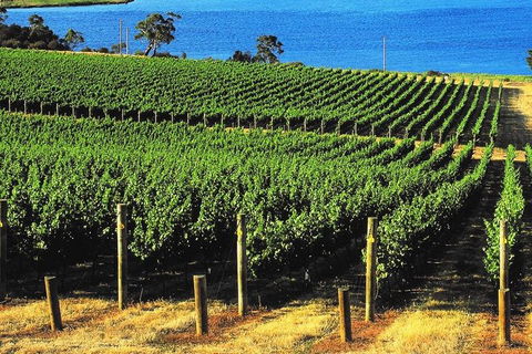 Hobart Afternoon Wine Tour Saturday: Local Wines + Cheese & Guide - Darwin Holiday 3