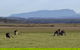 Spend A Day In One Of Tasmania\'s Best Wildlife National Park\'s - thumb 0