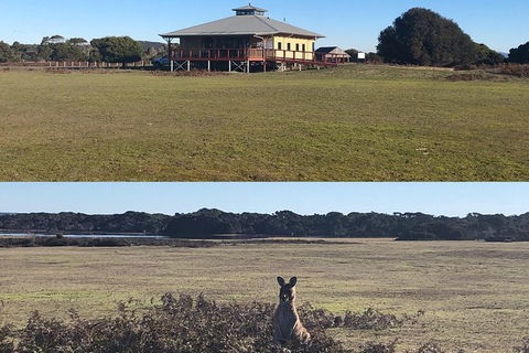 Spend A Day In One Of Tasmania\'s Best Wildlife National Park\'s - Darwin Holiday 3