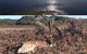 Spend A Day In One Of Tasmania\'s Best Wildlife National Park\'s - thumb 4