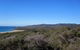Spend A Day In One Of Tasmania\'s Best Wildlife National Park\'s - thumb 5