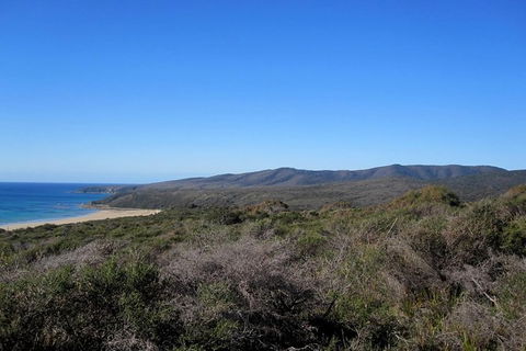 Spend A Day In One Of Tasmania\'s Best Wildlife National Park\'s - Darwin Holiday 5