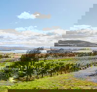 Launceston Wine  Sightseeing Tours - Darwin Holiday