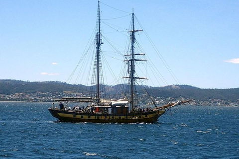 Splendid! Historical Tours Of Hobart - Darwin Holiday 8