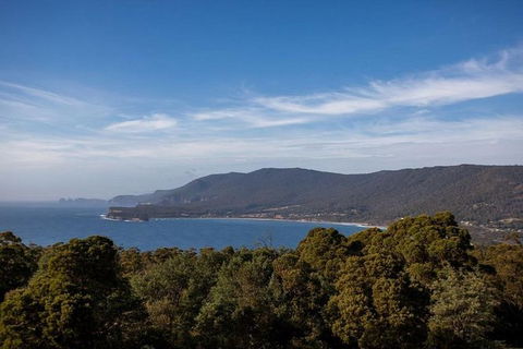 Discover Hobart: Port Arthur And Lavender Farm 1 Day Tour - Darwin Holiday 5