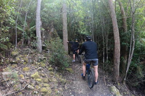 Explore Downhill Mountain In 3-Hour Bike Tour From Hobart - Darwin Holiday 5