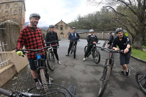 Explore Downhill Mountain In 3-Hour Bike Tour From Hobart - Darwin Holiday 3