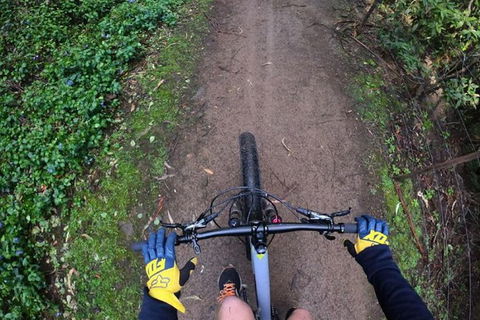 Explore Downhill Mountain In 3-Hour Bike Tour From Hobart - Darwin Holiday 4